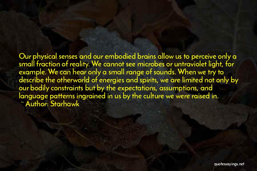 Our Brains Quotes By Starhawk