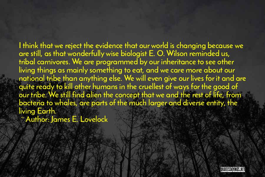 Our Changing World Quotes By James E. Lovelock