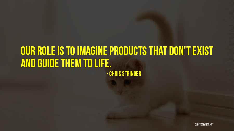 Our Consciousness Quotes By Chris Stringer