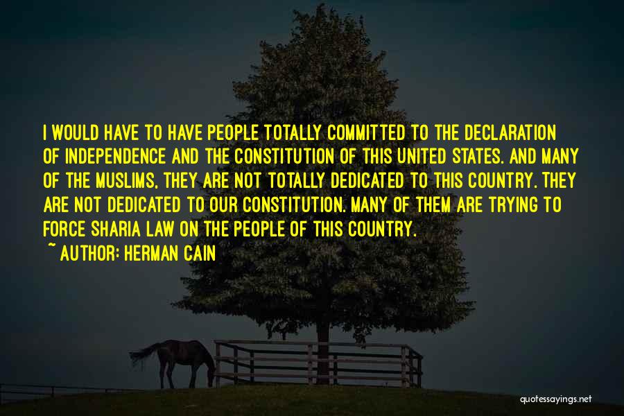 Our Country Quotes By Herman Cain