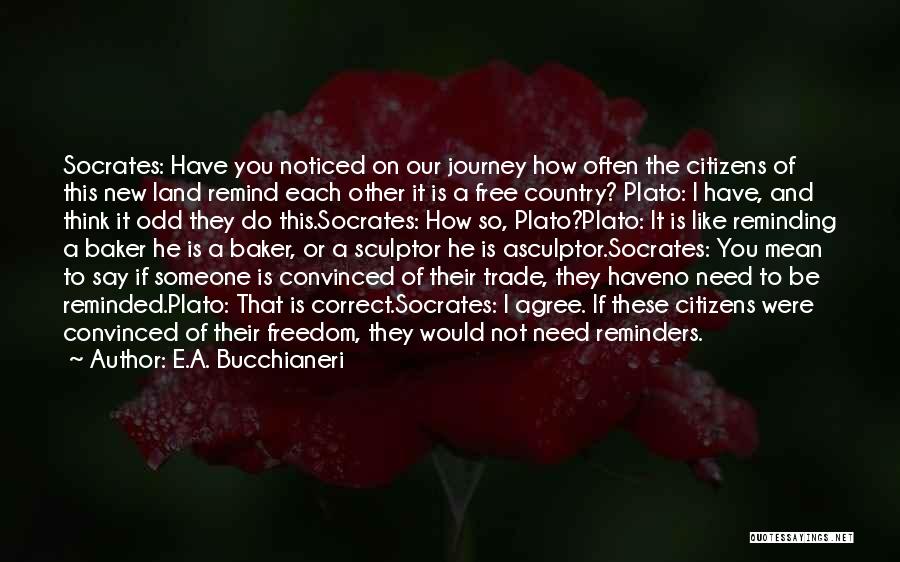 Our Country's Freedom Quotes By E.A. Bucchianeri