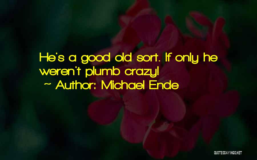 Our Crazy Friendship Quotes By Michael Ende