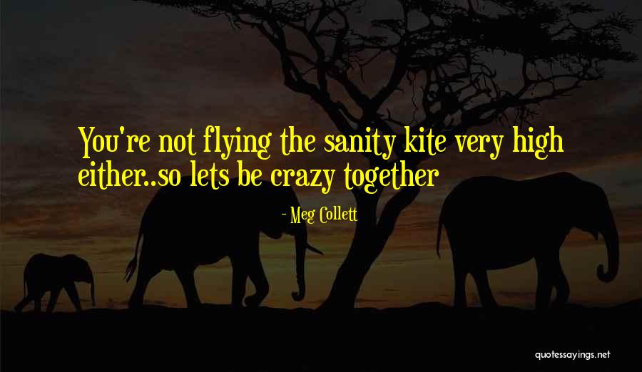Our Crazy Relationship Quotes By Meg Collett