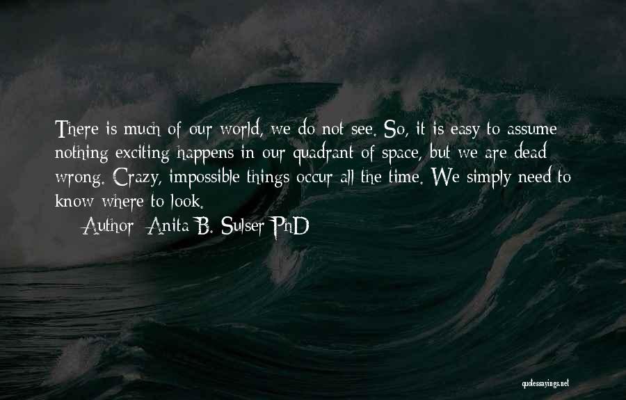 Our Crazy World Quotes By Anita B. Sulser PhD