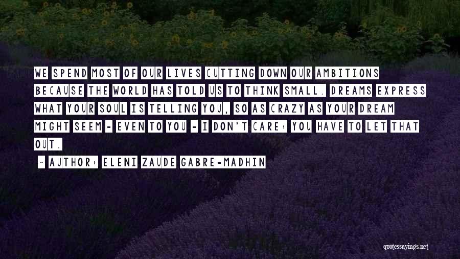 Our Crazy World Quotes By Eleni Zaude Gabre-Madhin