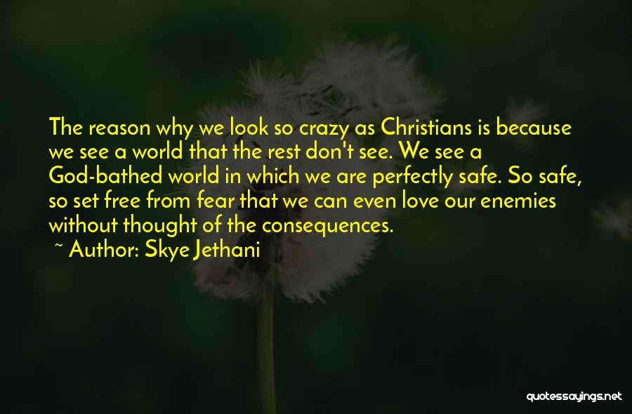 Our Crazy World Quotes By Skye Jethani