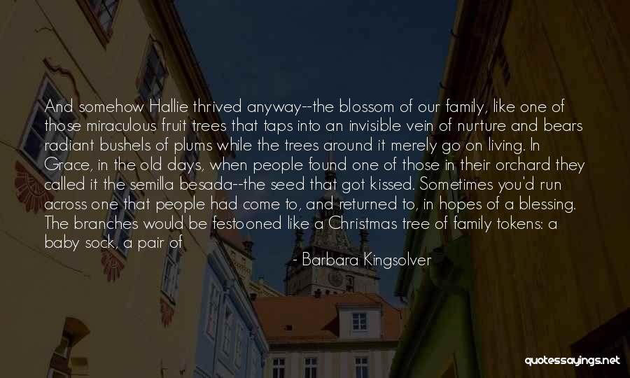 Our Family Tree Quotes By Barbara Kingsolver