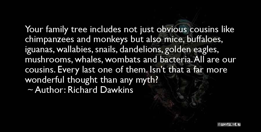 Our Family Tree Quotes By Richard Dawkins