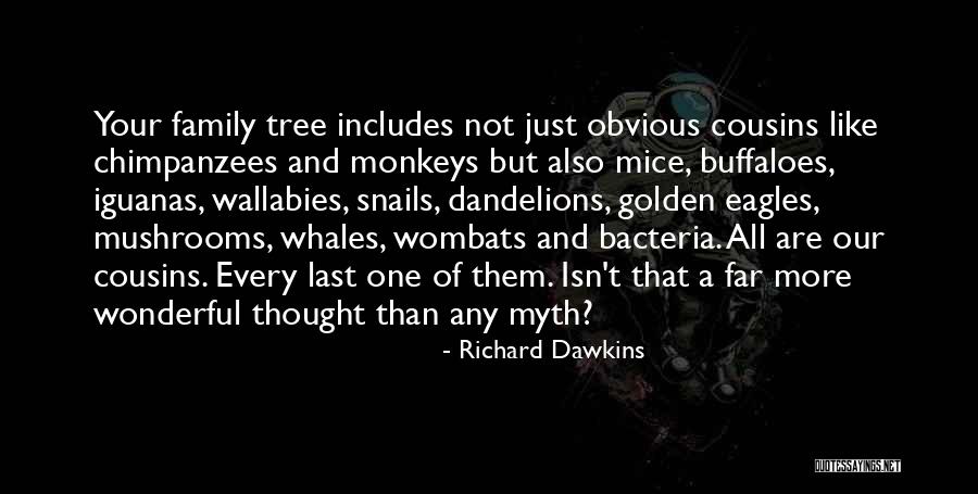 Our Family Tree Quotes By Richard Dawkins