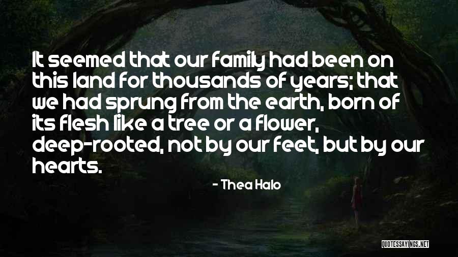 Our Family Tree Quotes By Thea Halo