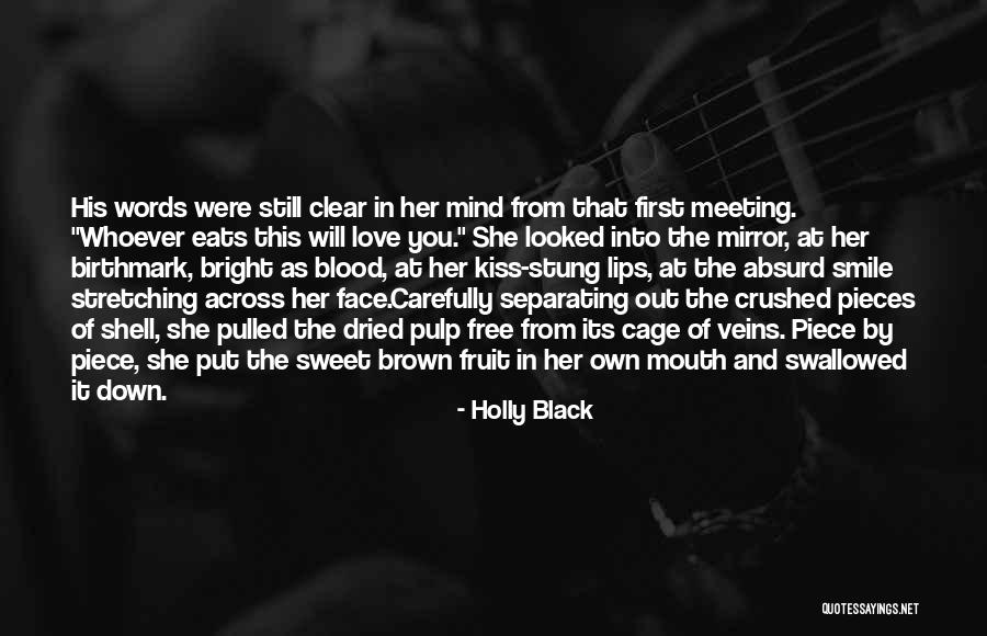 Our First Meeting Love Quotes By Holly Black