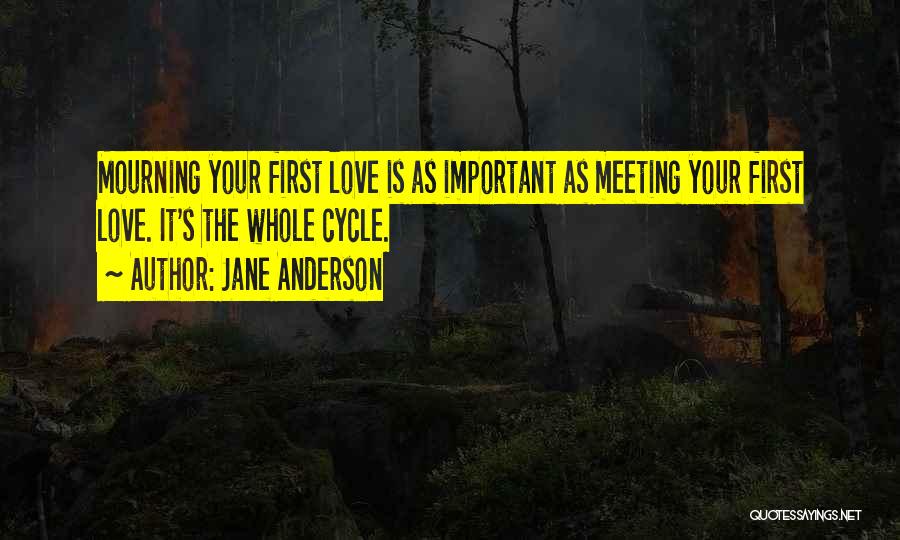 Our First Meeting Love Quotes By Jane Anderson