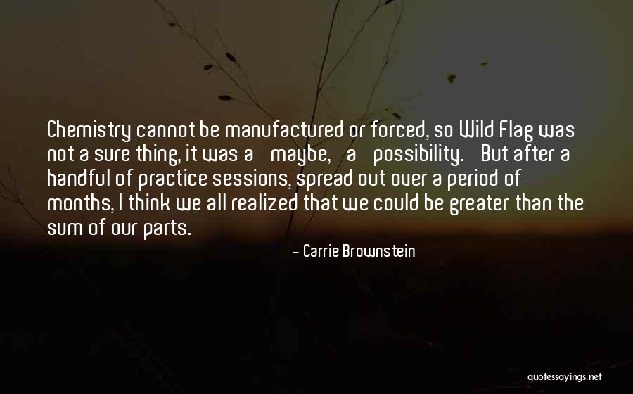 Our Flag Quotes By Carrie Brownstein Our Flag Quotes By Carrie Brownstein