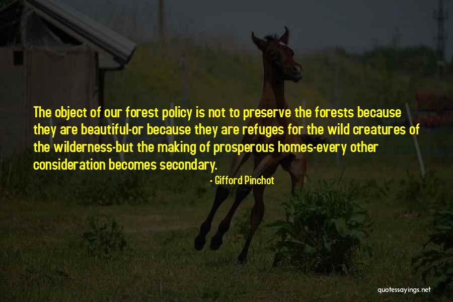 Our Forests Quotes By Gifford Pinchot