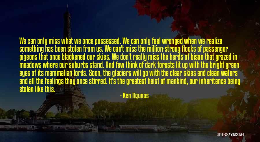 Our Forests Quotes By Ken Ilgunas