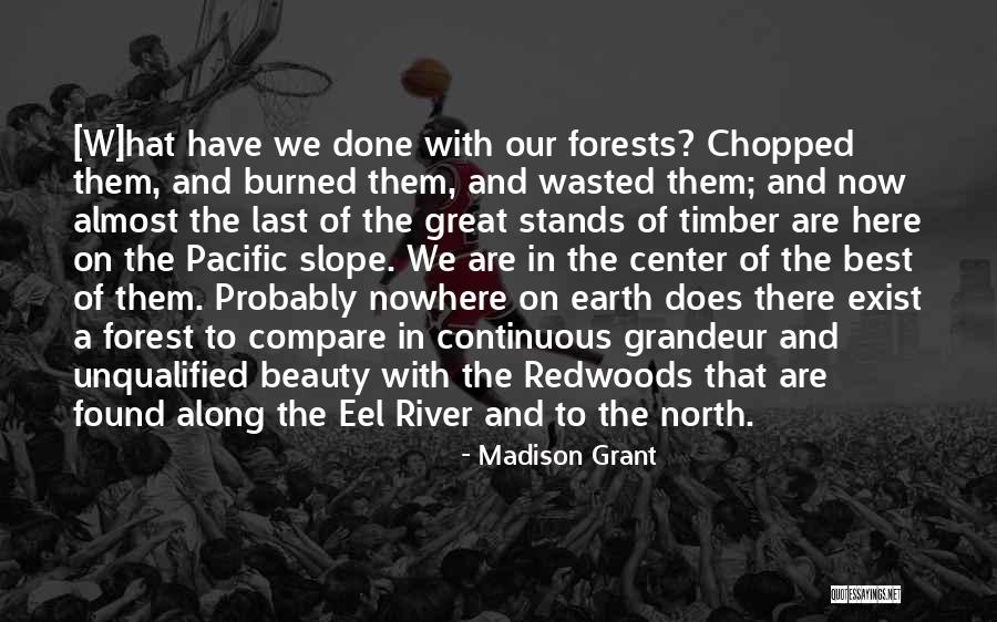 Our Forests Quotes By Madison Grant