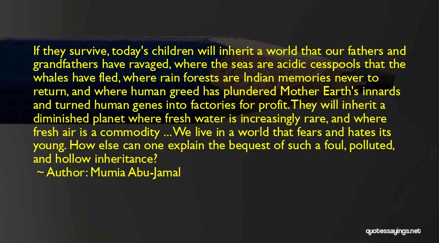 Our Forests Quotes By Mumia Abu-Jamal