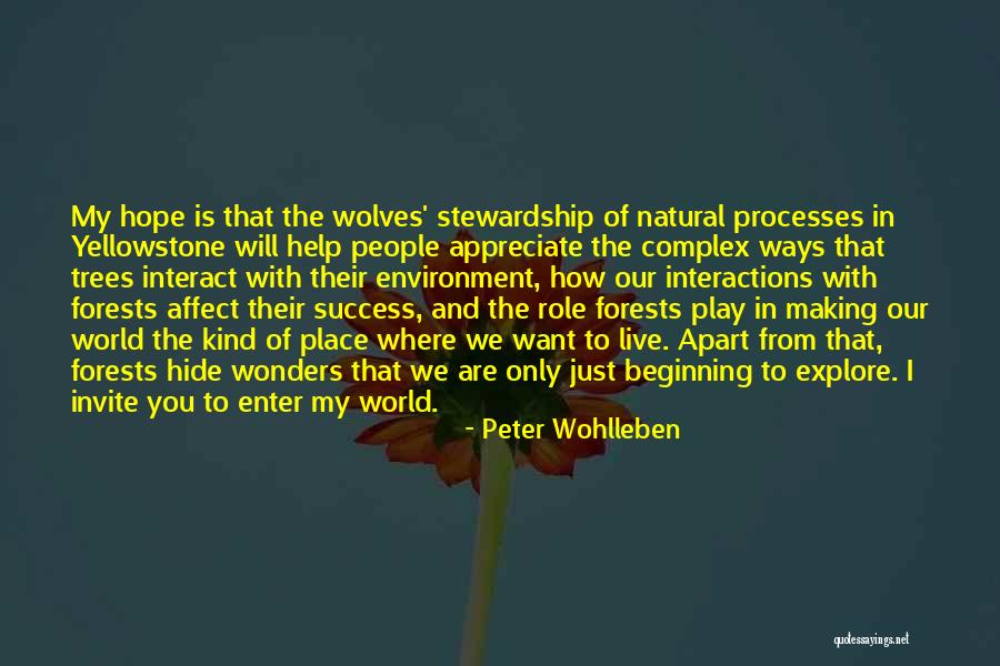 Our Forests Quotes By Peter Wohlleben