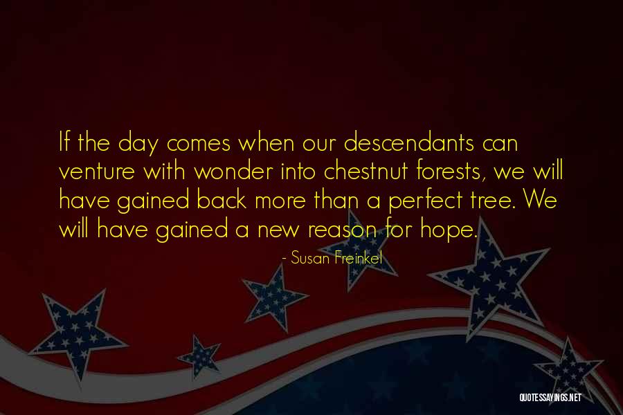 Our Forests Quotes By Susan Freinkel Our Forests Quotes By Susan Freinkel