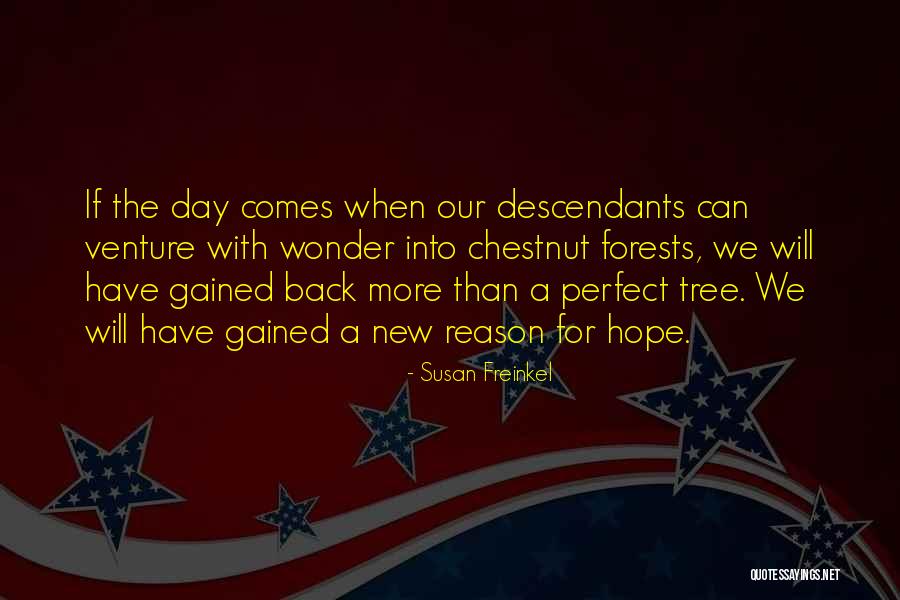 Our Forests Quotes By Susan Freinkel