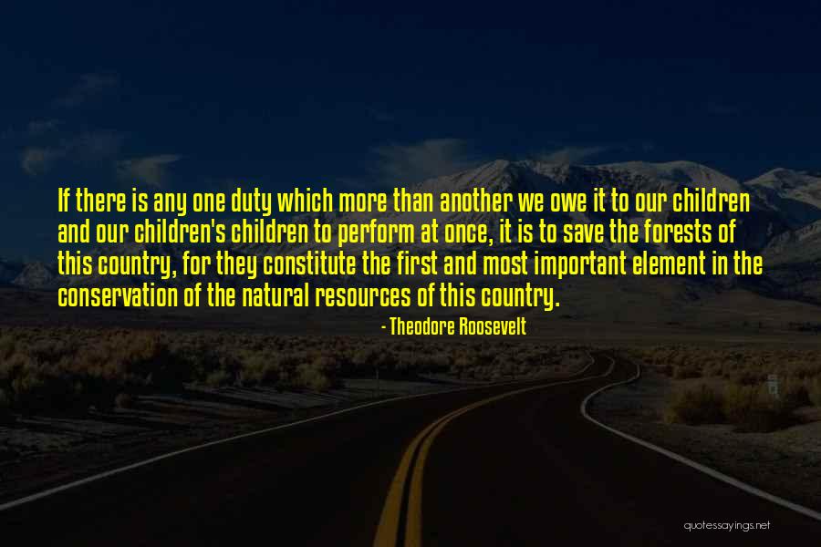 Our Forests Quotes By Theodore Roosevelt