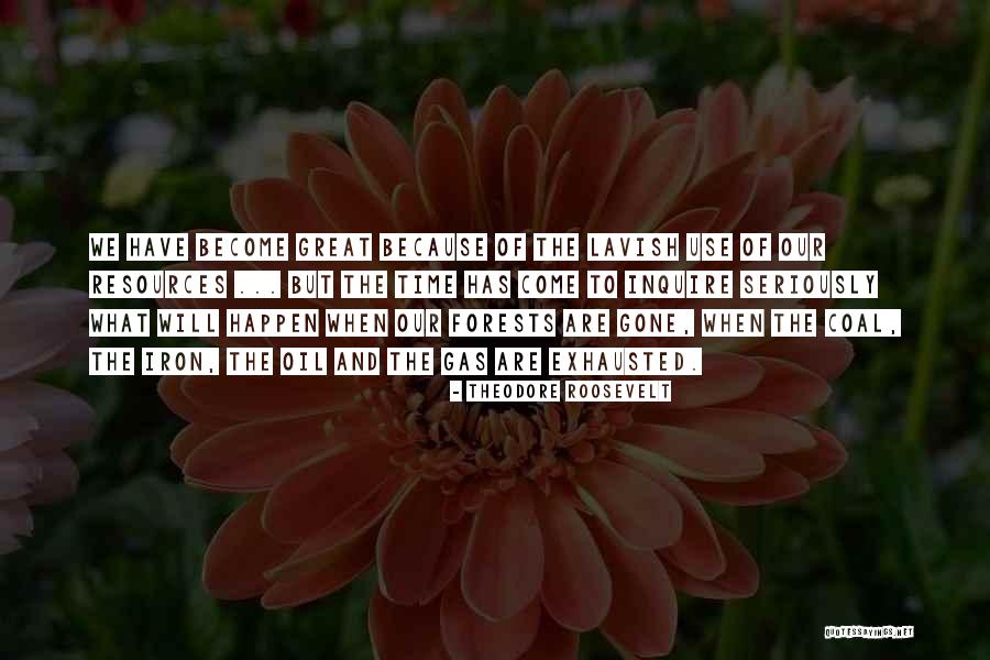 Our Forests Quotes By Theodore Roosevelt Our Forests Quotes By Theodore Roosevelt