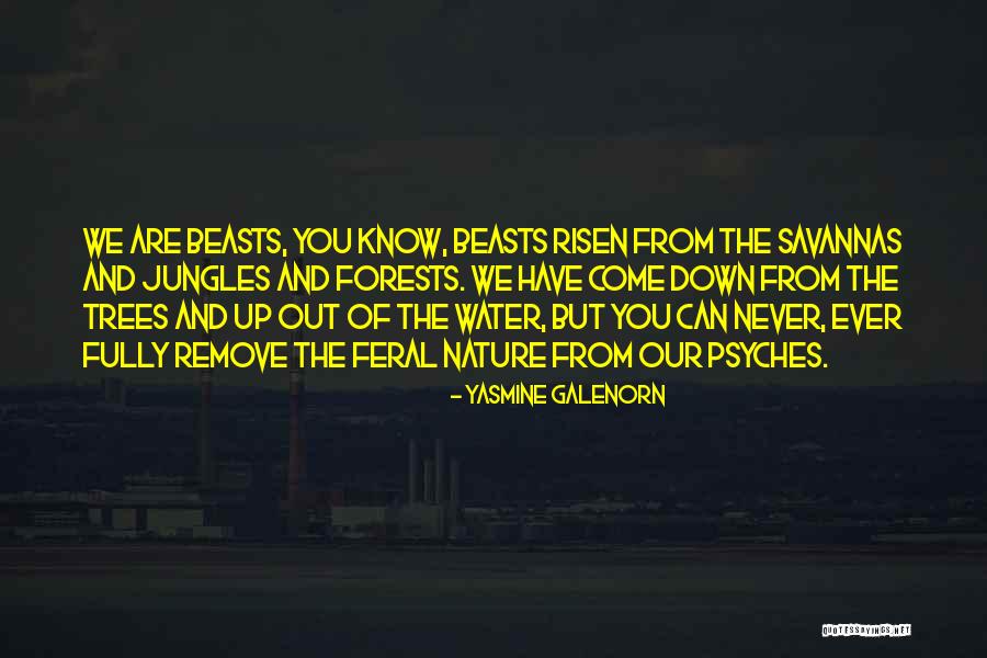 Our Forests Quotes By Yasmine Galenorn Our Forests Quotes By Yasmine Galenorn