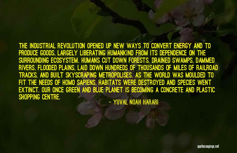 Our Forests Quotes By Yuval Noah Harari