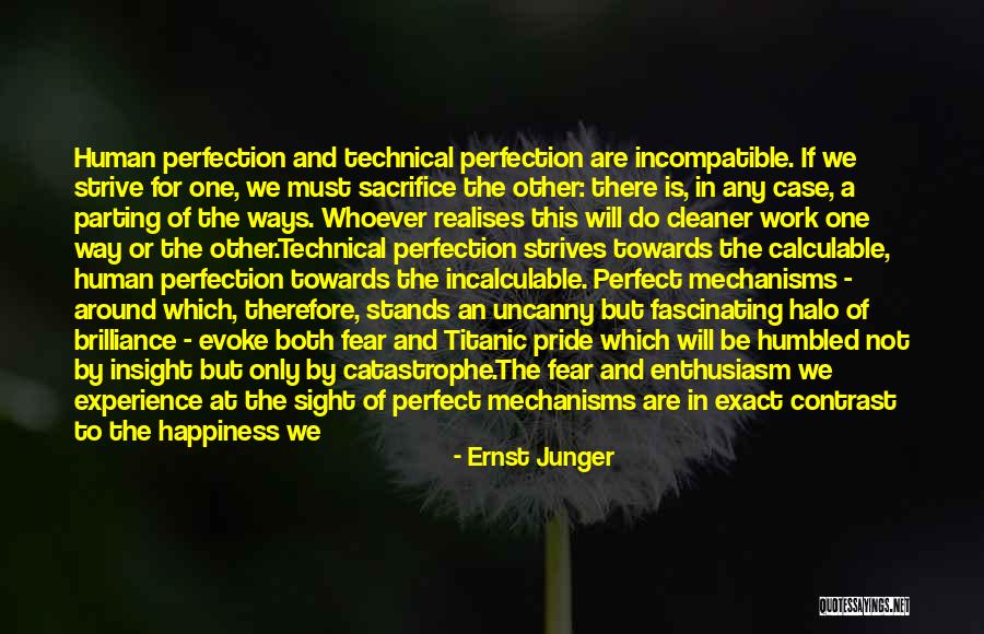 Our Greatest Fear Quotes By Ernst Junger