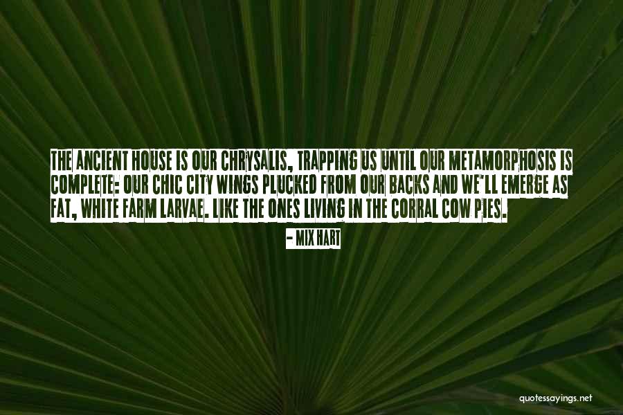 Our House Quotes By Mix Hart Our House Quotes By Mix Hart