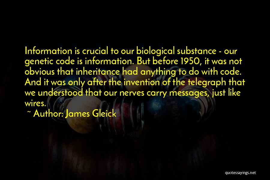 Our Inheritance Quotes By James Gleick