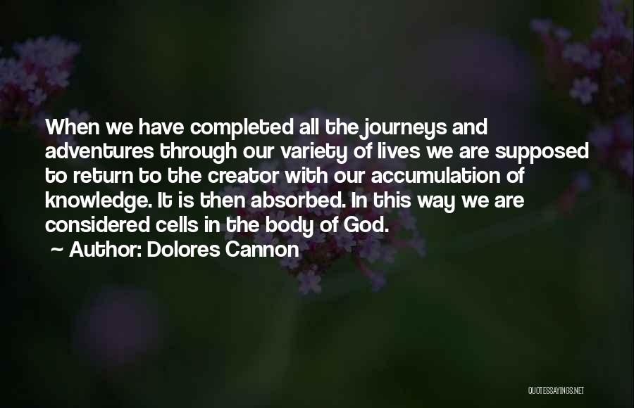 Our Journey With God Quotes By Dolores Cannon