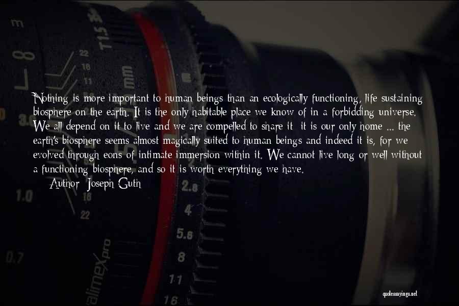 Our Life Story Quotes By Joseph Guth