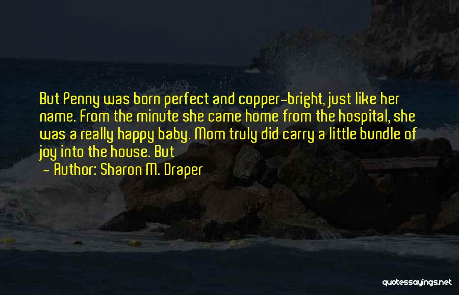 Our Little Bundle Of Joy Quotes By Sharon M. Draper