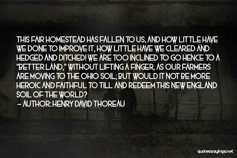 Our Little World Quotes By Henry David Thoreau