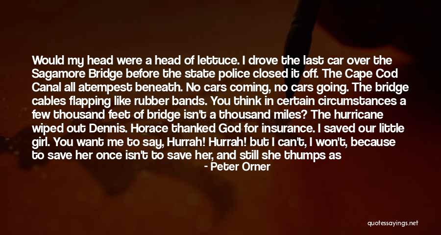 Our Little World Quotes By Peter Orner Our Little World Quotes By Peter Orner