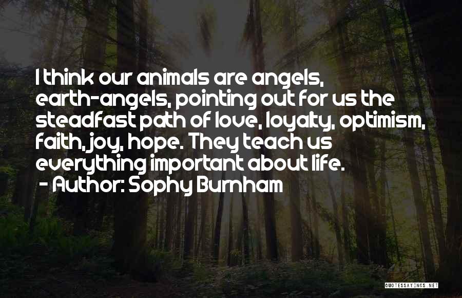 Our Love For Animals Quotes By Sophy Burnham