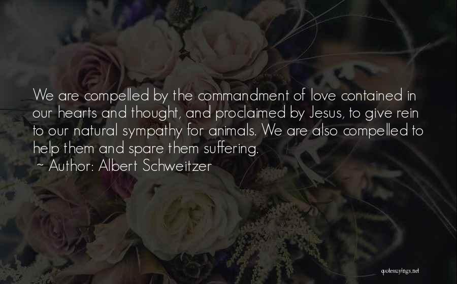Our Love For Jesus Quotes By Albert Schweitzer