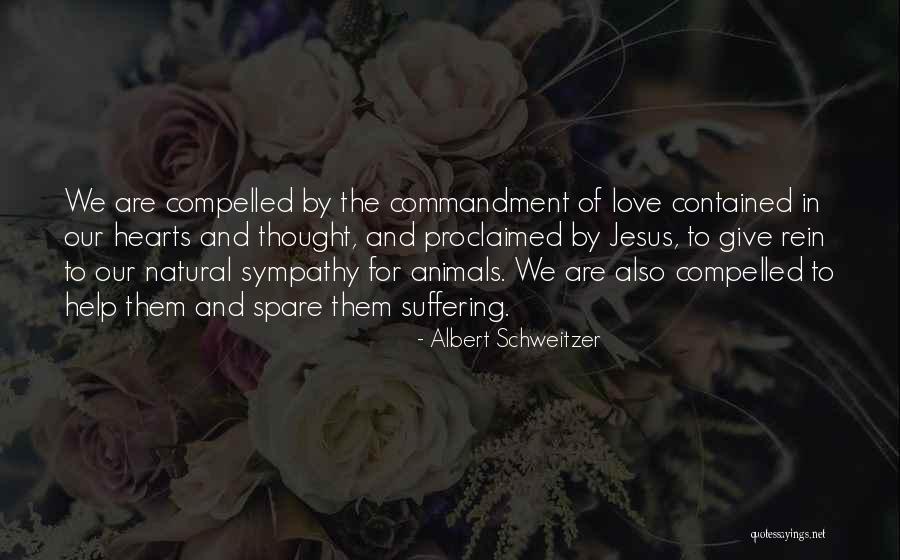 Our Love For Jesus Quotes By Albert Schweitzer