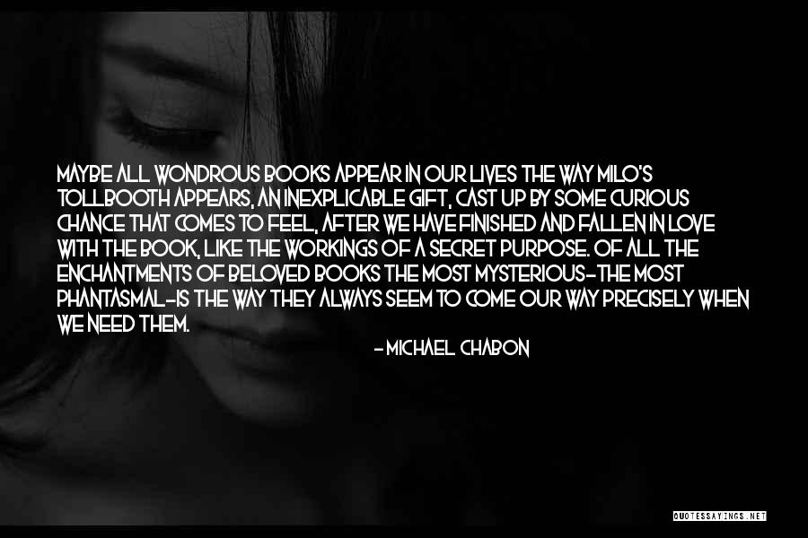 Our Love Is Like A Book Quotes By Michael Chabon