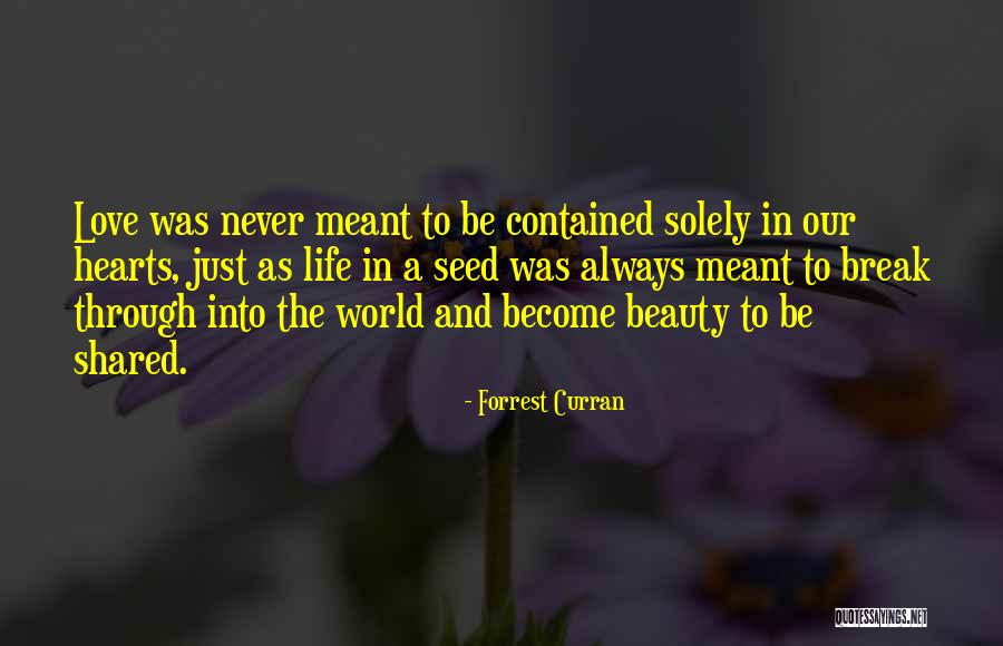 Our Love Was Meant To Be Quotes By Forrest Curran Our Love Was Meant To Be Quotes By Forrest Curran