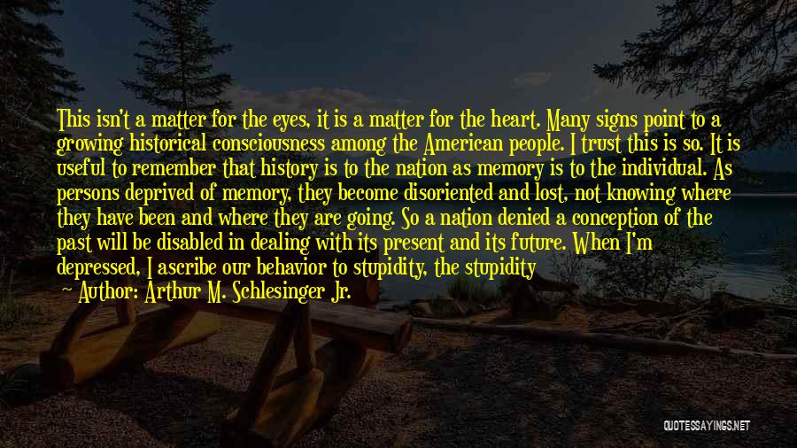 Our Nation Future Quotes By Arthur M. Schlesinger Jr.