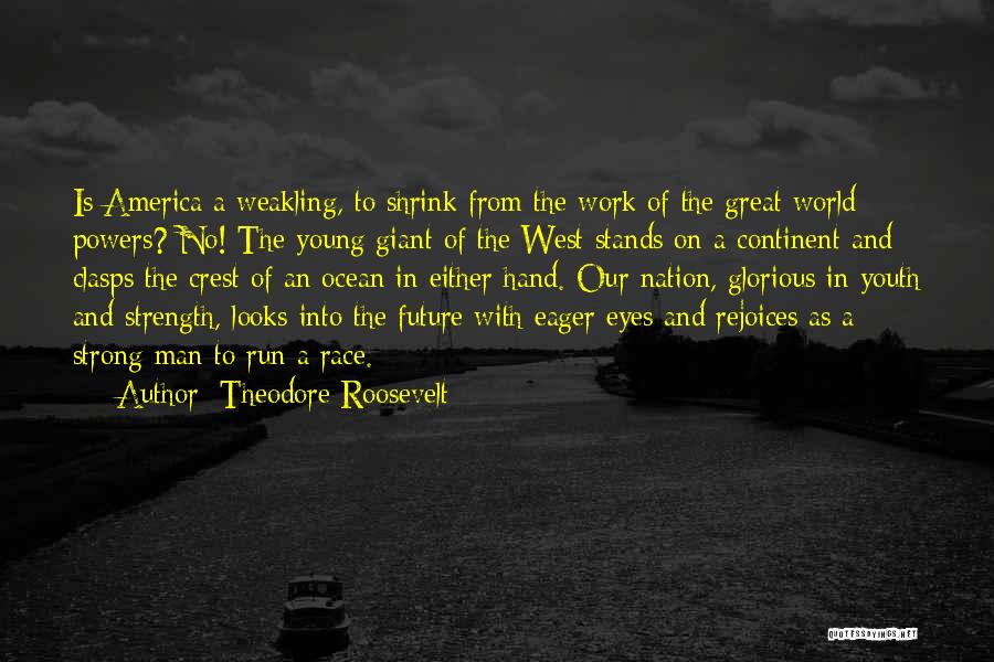 Our Nation Future Quotes By Theodore Roosevelt