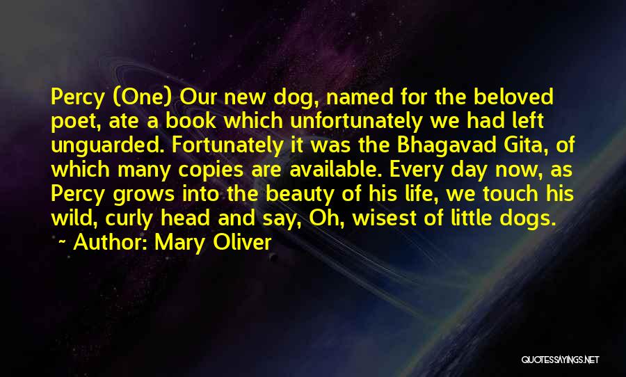 Our New Life Quotes By Mary Oliver