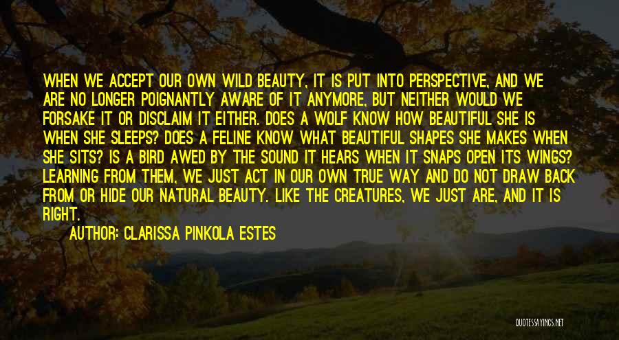 Our Own Beauty Quotes By Clarissa Pinkola Estes