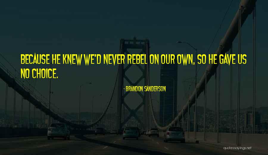 Our Own Choice Quotes By Brandon Sanderson Our Own Choice Quotes By Brandon Sanderson