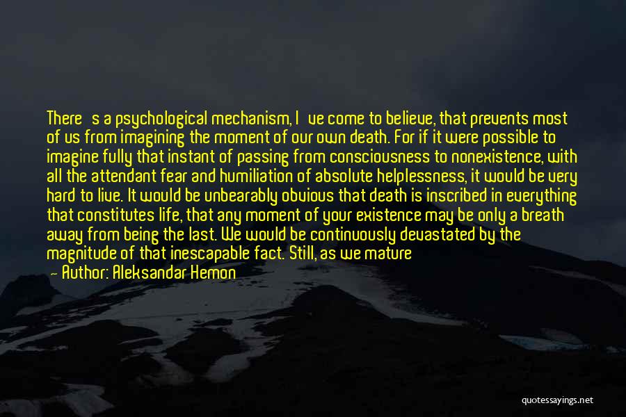 Our Own Mortality Quotes By Aleksandar Hemon