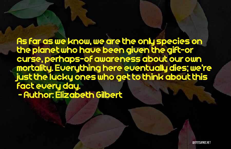 Our Own Mortality Quotes By Elizabeth Gilbert
