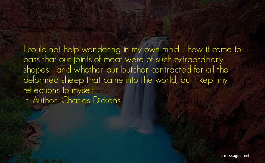 Our Own Reflection Quotes By Charles Dickens