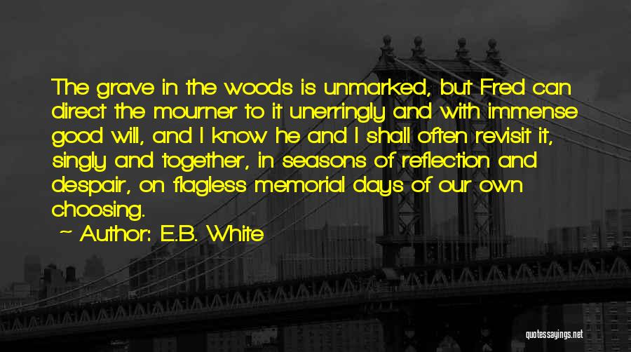 Our Own Reflection Quotes By E.B. White